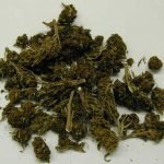 Marijuana