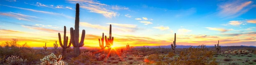 Gordon Thompson
DUI & Criminal Attorney
